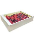 07_26_0021.png